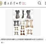 Scientists unearth sea lion fossil first near Taiwan