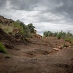 South African Council of Churches makes submission to African court on climate obligations and fossil fuel finance