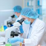 Genetically modified pig kidneys are already being transplanted, yet science has hit a wall