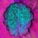 Scientists Figured Out How to Stop Your Brain From Feeling Fear