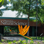 NatureFEST returning to Mississippi Museum of Natural Science