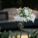 Monday – April 13 – Science of sex