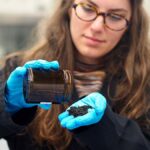 Every tire produces a chemical that kills coho salmon. Can Northwest scientists pump the brakes?