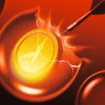 World Liberty Financial Dares One Of Its Biggest Backers to Court