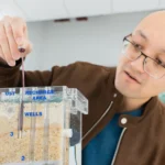 How satellites are changing plant water models and where they fall short