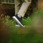 the rise and fall of Allbirds