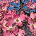 A view from DC: The federal plan to modernize — and preempt — financial privacy rules