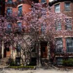 University’s Financial Outlook Is Strong, but Urgent Change Is Needed to Keep It That Way, says BU’s CFO | BU Today