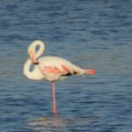 Six Science-Backed Tests To Show How Well You’re Ageing