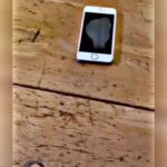 @respect.dohee               …