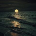 @magnificent_scenery          …