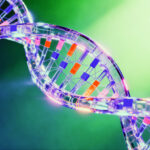 Scientists rethink DNA after discovering it can be built from scratch