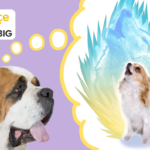 Is your dog’s DNA hiding a wild secret?