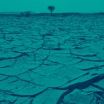 Financing Innovations in Climate Mobility