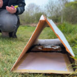 Citizen science project to track small mammals