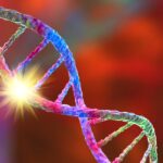 Scientists Found ‘Supergenes’ That Turbo-Charge Evolution