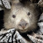 5 projects that made a difference