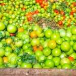 Truckloads of food are being wasted because computers won’t approve them