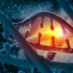 Scientists just found DNA “supergenes” that speed up evolution
