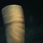 Scientists just solved a 160-million-year fossil mystery “I’ve never seen anything like it”