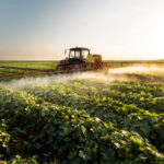 BBVA Mexico supports FIRA (FEFA) in the issuance of trust-issued certificados bursátiles in the local market for a total amount of MXN 7,017 million