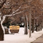 US Forest Service closing research stations that study wildfire risk