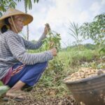 WCC urges binding finance rules for global justice