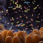 Scientists discover hidden gut signals that could detect cancer early