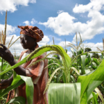 Nuclear Science Enhances Malawi’s Food Safety and Export Systems