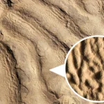 Strange “elephant skin” rocks reveal ancient life in the dark ocean