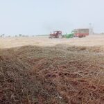 @imran.ali.426 foruyou      …