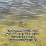 @allisonboostsyouup Trending Sound Alert        …