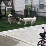 @baharfaraj1           …