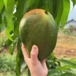 @trending.asmr27       …