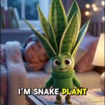 @usa_health_ Plants for you health   …