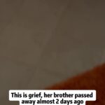 @amaloffic1al      …