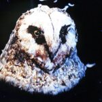 10 Forgotten Slasher Movies That Are Actually Amazing