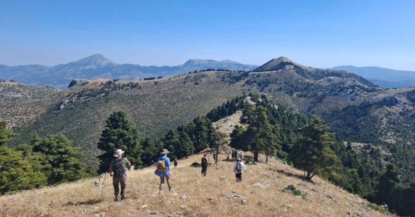 Discovery of 200 Structures Near Eretria in Greece Reveals Thousands of Years of Continuous Human Activity