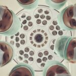 Scientists Keep Removed Human Uterus Alive for a Day