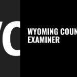 A look at a couple of movies based on popular video games – Wyoming County Examiner