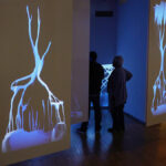 An Art-Science Partnership Offering New Views of Dynamic Landscapes