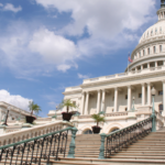 Flyby — transferable — EPA — Bondi — Greek freedom — drill baby drill