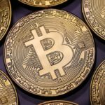 States Weigh Risks and Rewards of Crypto Investments