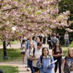 UNC System students concerned policy draft could end some financial aid, legal services programs