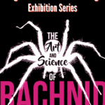 Art and Science of Arachnids Traveling Exhibit opens