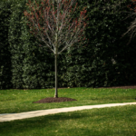 Science Policy This Week: April 6, 2026