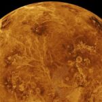 If Venus Has Life It May Have Come From Earth, Scientists Say : ScienceAlert